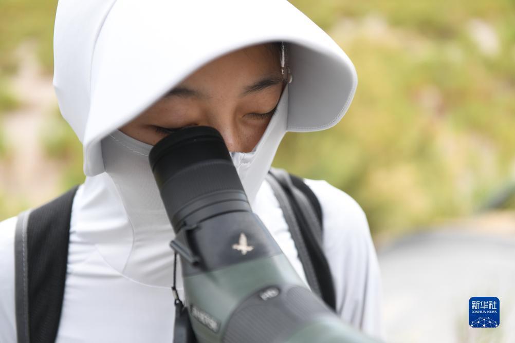 集结号支付宝一元充值
